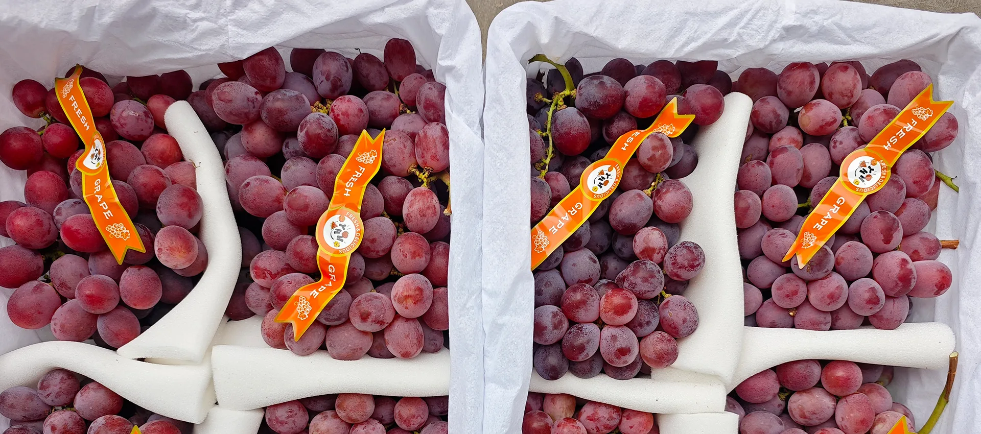 China Premium Fresh Zabibu Supplier