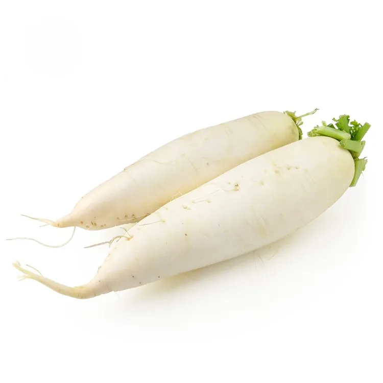 Radishi Nyeupe yenye Crunchy