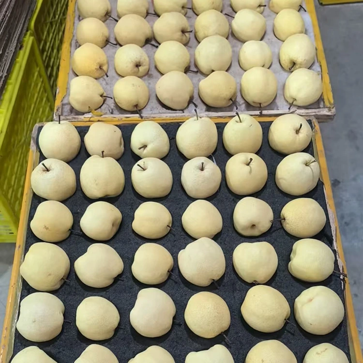 Pears za Gong Zilizochaguliwa Safi