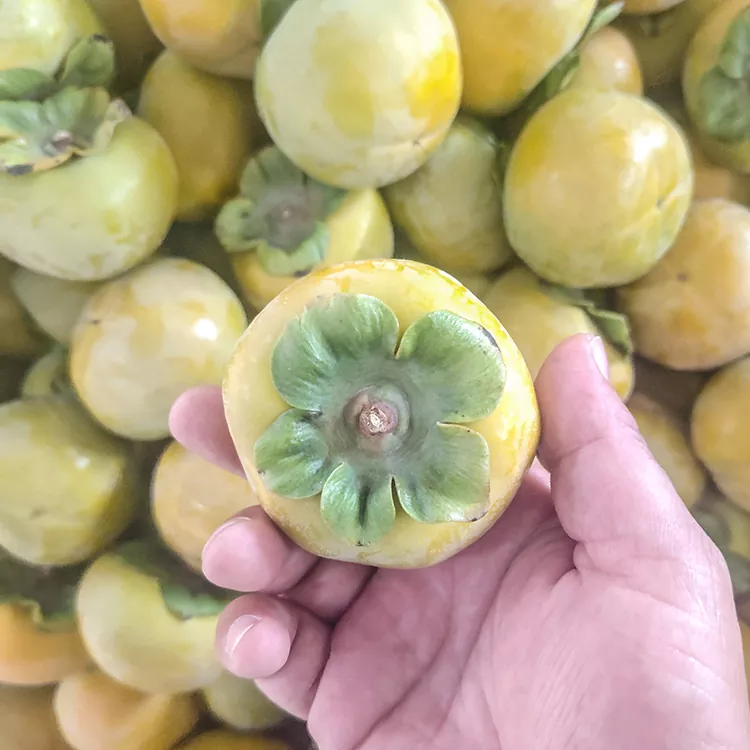 Persimmon safi ya hali ya juu