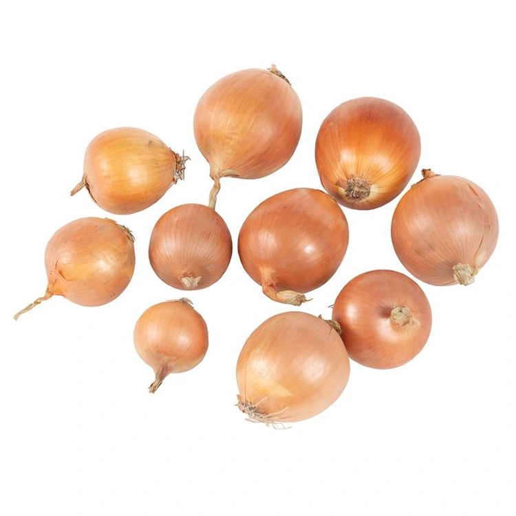 Vitunguu Safi vya Njano vya Premium