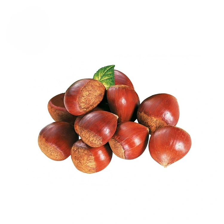 Chestnuts za Ubora wa Juu