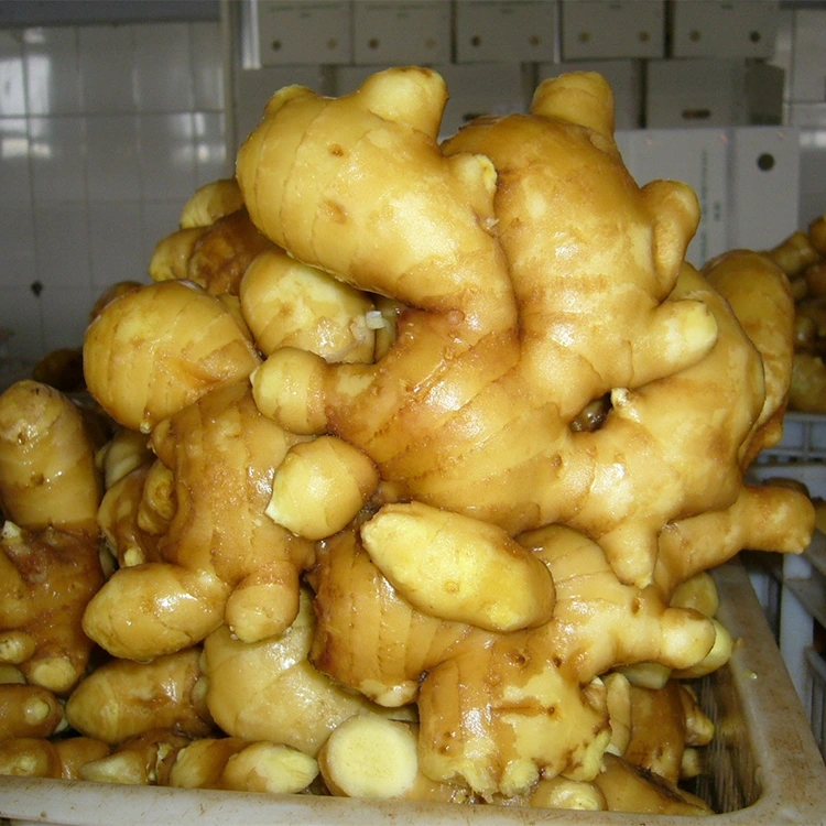 Tangawizi Safi yenye Kunukia yenye viungo