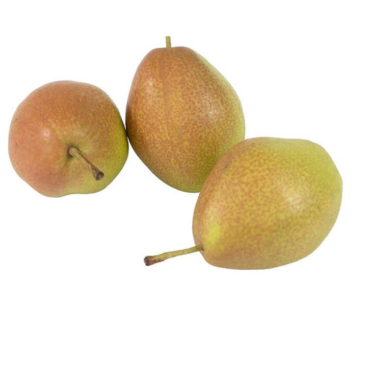 Ubora wa Juu Pears safi za Hongxiangsu